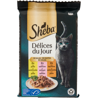 SHEBA Délices du Jour in Salsa Cat Busta Multipack 6x50G - Pollo, Salmone, Tacchino - Cibo umido per gatti SHEBA Délices du Jour in Salsa Cat Busta Multipack 6x50G - Pollo, Salmone, Tacchino - Cibo umido per gatti