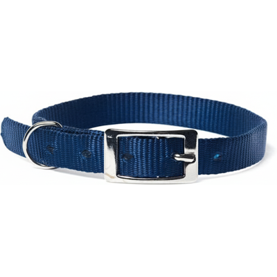 PetUp Collare nylon 15 x 450 mm blu - PetUp Collare nylon 15 x 450 mm blu -