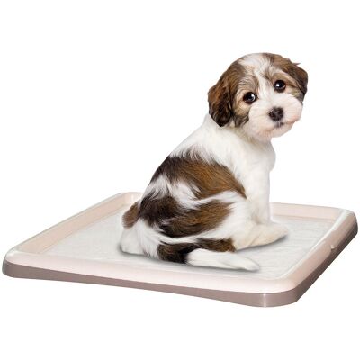 Petup Tip&Tap; Portatappetino addestramento 60x90cm Petup Tip&Tap; Portatappetino addestramento 60x90cm