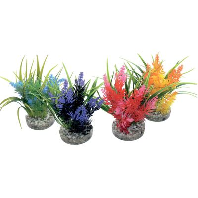 Sydeco Pianta decorativa Pearl 13 cm Sydeco Pianta decorativa Pearl 13 cm