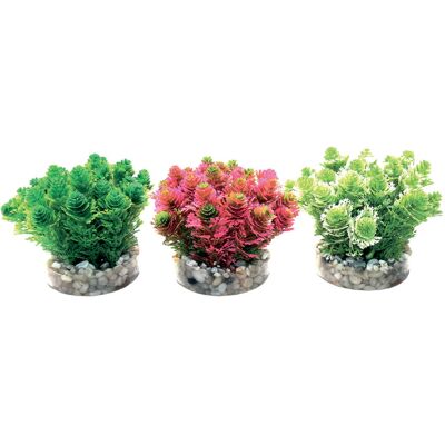 Sydeco Pianta decorativa Grass Bush 8 cm Sydeco Pianta decorativa Grass Bush 8 cm