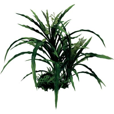 Blu Bios Pianta decorativa Amazzonia cm 35 Blu Bios Pianta decorativa Amazzonia cm 35