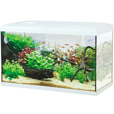 Aqualovers Acquario Ocean 60 colore Bianco Aqualovers Acquario Ocean 60 colore Bianco
