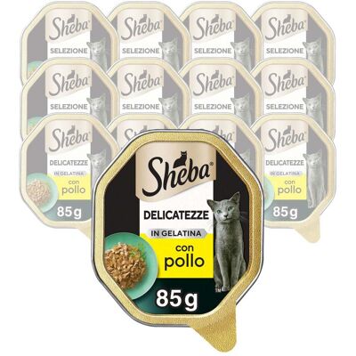 Sheba Cat Delicatezze in Gelatina Pollo 85 gr Sheba Cat Delicatezze in Gelatina Pollo 85 gr
