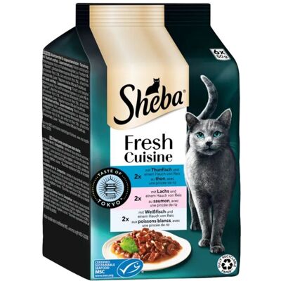 Sheba Cat Adult Délice du Jour Taste of Tokyo 6 pz x 50 gr Sheba Cat Adult Délice du Jour Taste of Tokyo 6 pz x 50 gr