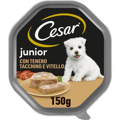 Cesar Dog Puppy Patè Vitello e Tacchino 150 gr Cesar Dog Puppy Patè Vitello e Tacchino 150 gr