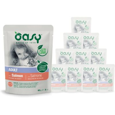 Oasy Cibo umido con salmone - Adulti 85g Oasy Cibo umido con salmone - Adulti 85g