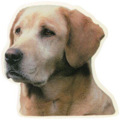 Camon Vetrofanie labrador retriver Camon Vetrofanie labrador retriver