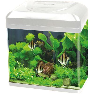 Blu Bios Acquario Billy 16 lt bianco Blu Bios Acquario Billy 16 lt bianco