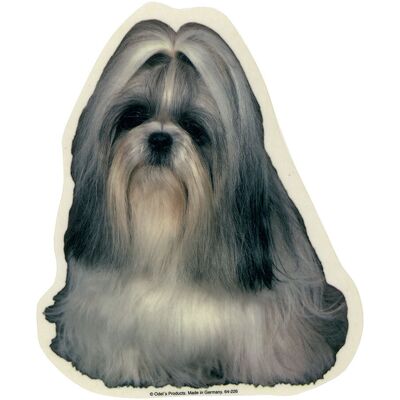 Camon Vetrofanie Shih-tzu Camon Vetrofanie Shih-tzu