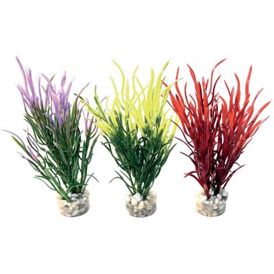 Sydeco Pianta decorativa Sea Grass 16 cm Sydeco Pianta decorativa Sea Grass 16 cm
