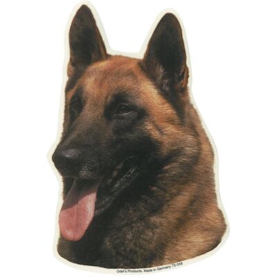 Camon Vetrofanie pastore malinois Camon Vetrofanie pastore malinois