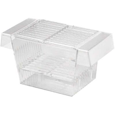 Antica Farmacia Orlandi Mantovani Nido di pesci parto galleggiante Aquaparto Mini - Accessorio per acquario Antica Farmacia Orlandi Mantovani Nido di pesci parto galleggiante Aquaparto Mini - Accessorio per acquario