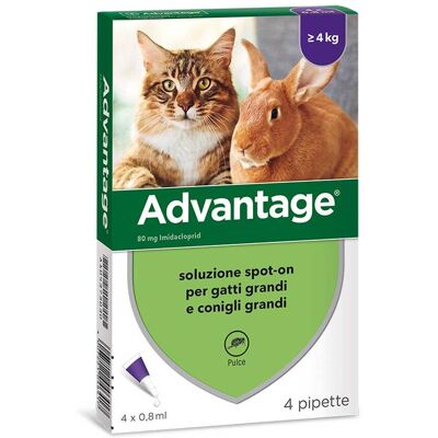 Advantage Spot-On Gatti e Conigli grandi oltre 4 kg 4 pipette Advantage Spot-On Gatti e Conigli grandi oltre 4 kg 4 pipette