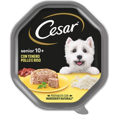 Cesar Dog Senior 10 + con Pollo e Riso 150 gr Cesar Dog Senior 10 + con Pollo e Riso 150 gr