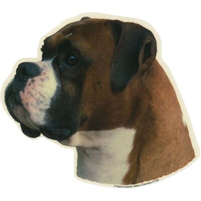 Camon Vetrofanie boxer yellow Camon Vetrofanie boxer yellow