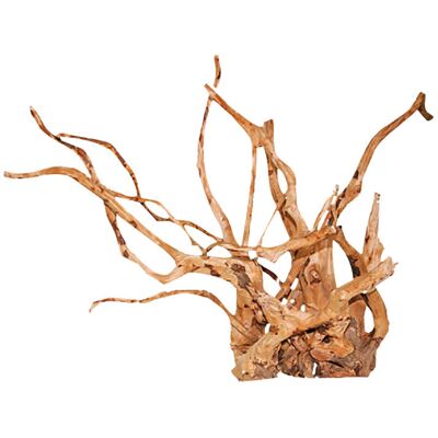 Blu Bios Legno Driftwood medio 30/40 cm Blu Bios Legno Driftwood medio 30/40 cm