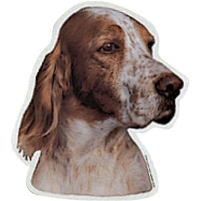 Camon Vetrofanie english setter Camon Vetrofanie english setter