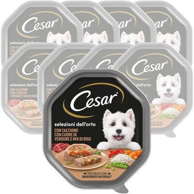 Cesar Dog Selezioni dell'Orto con Tacchino Cuore di Verdure e Mix di Riso 150 gr Cesar Dog Selezioni dell'Orto con Tacchino Cuore di Verdure e Mix di Riso 150 gr
