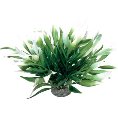 Sydeco Pianta decorativa Aquatic Leaves cm 12 Sydeco Pianta decorativa Aquatic Leaves cm 12