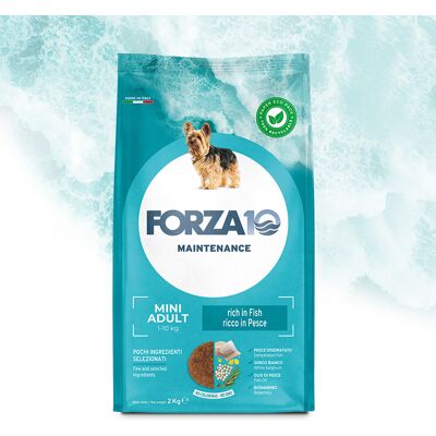 Forza10 Mini Manutenzione Pesce Cibo per Cani - Piccolo Adulti - 2kg Forza10 Mini Manutenzione Pesce Cibo per Cani - Piccolo Adulti - 2kg