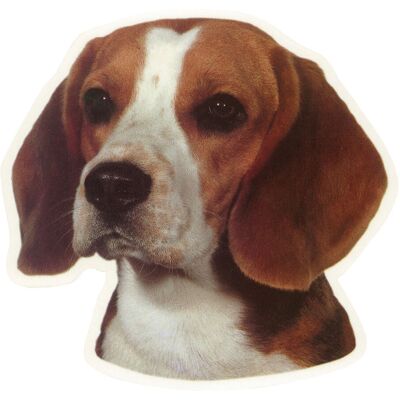 Camon vetrofanie beagle Camon vetrofanie beagle