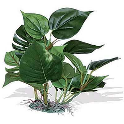 Blu Bios Pianta decorativa Anubias cm 25 Blu Bios Pianta decorativa Anubias cm 25