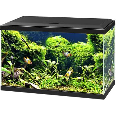 Askoll Ciao Aqua 60 Led Acquario - Completo, Elegante, Bianco Askoll Ciao Aqua 60 Led Acquario - Completo, Elegante, Bianco