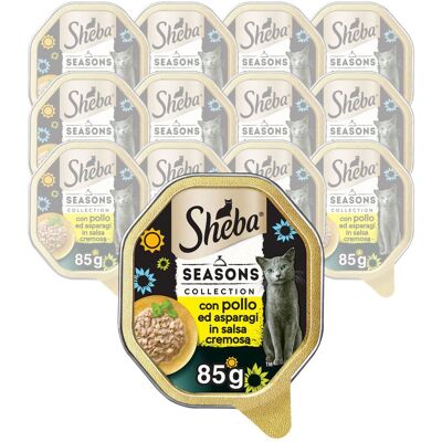 Sheba - Creazioni Speciali in Salsa con Pollo & Asparagi - Cibo per Gatti Sheba - Creazioni Speciali in Salsa con Pollo & Asparagi - Cibo per Gatti