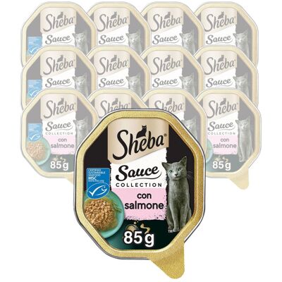 Sheba Cat Sauce Collection con Salmone 85 gr Sheba Cat Sauce Collection con Salmone 85 gr