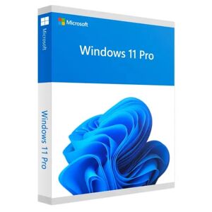Microsoft Windows 11 Professional Licenza