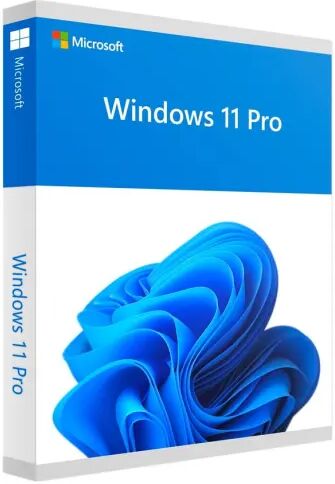 Microsoft Windows 11 Professional Licenza