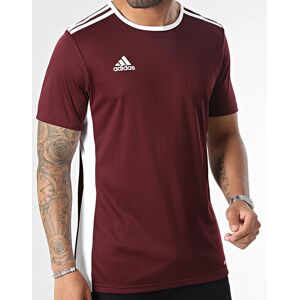 adidas maglia allenamento calcio UOMO Amaranto Entrada 18 Jersey Multisport