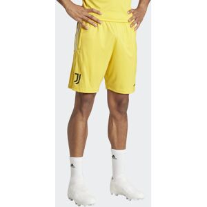 Adidas Juventus Pantaloncini Shorts Uomo Giallo Allenamento Tiro 23 Training