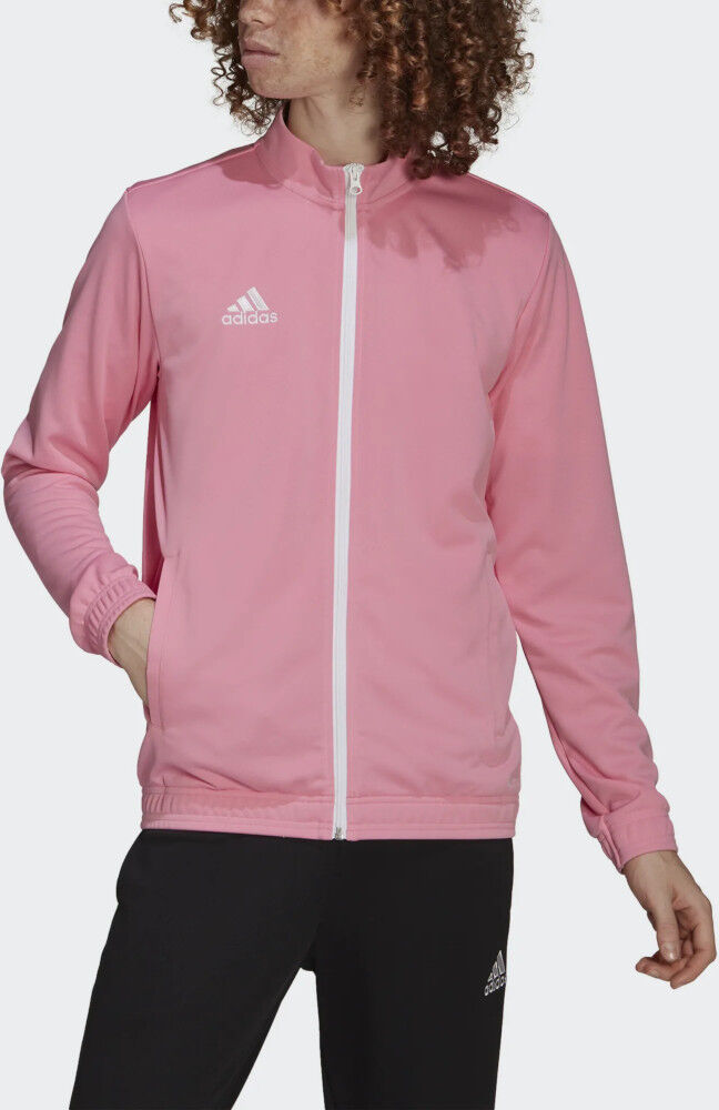 adidas Giacca tuta allenamento UOMO Rosa Entrada 22