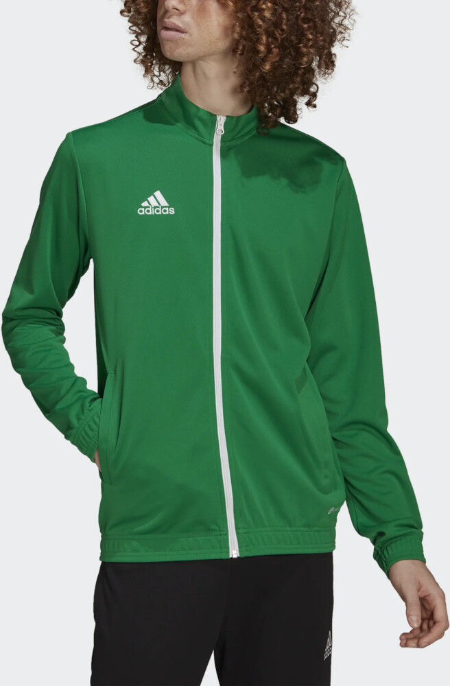 adidas Giacca tuta allenamento UOMO Verde Entrada Training