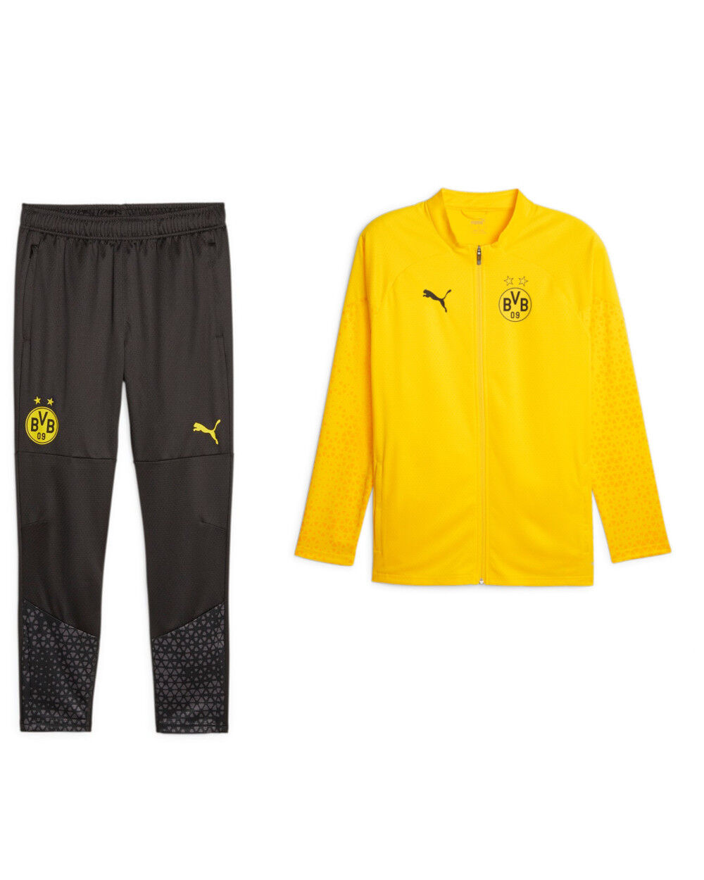 Puma Borussia Dortmund 09 Tuta Intera completa 2023 24 Giallo Versione panchina