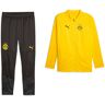 Puma Borussia Dortmund 09 Tuta Intera completa 2023 24 Giallo Versione panchina