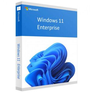 Windows 11 Enterprise 64 bit - Licenza Microsoft