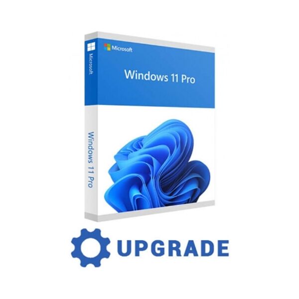 microsoft windows 11 pro professional upgrade 32/64 bit esd a vita