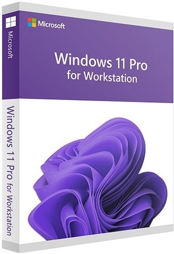 microsoft windows 11 pro for workstation a vita