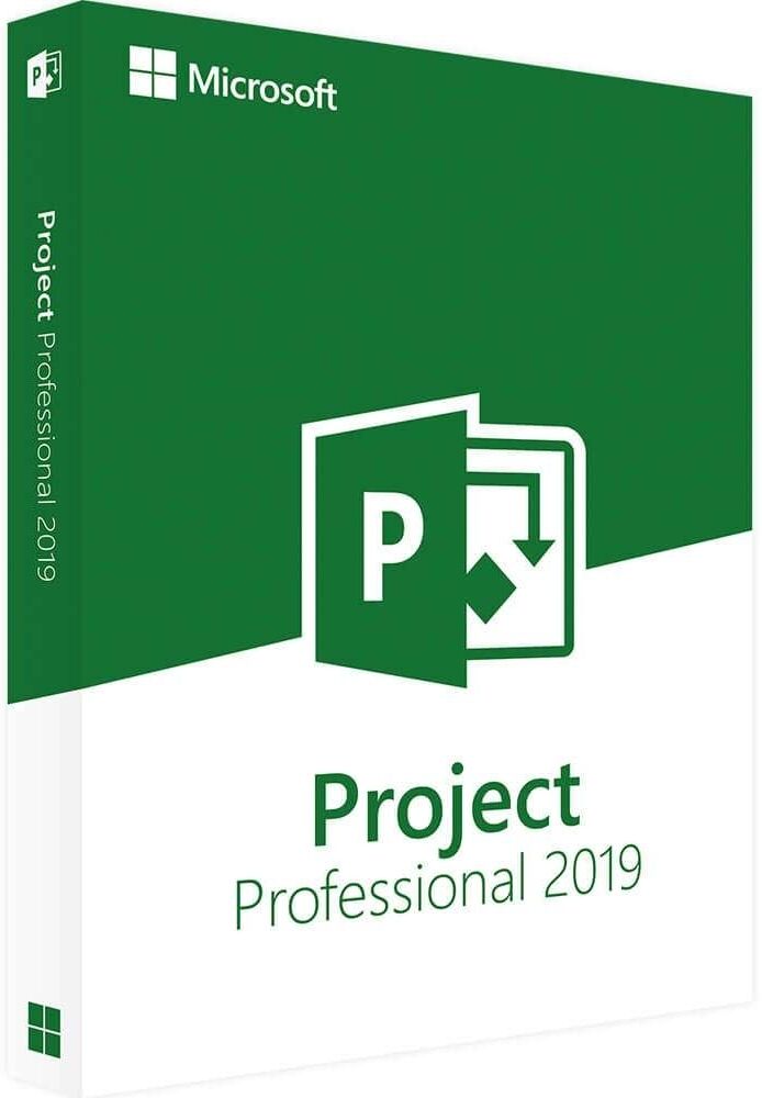 Microsoft Project Pro Professional 2019 a VITA