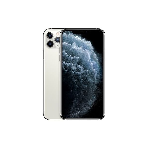 apple iphone 11 pro max 64gb argento usato grado b
