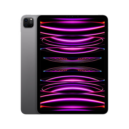 Apple iPad Pro 11" 4a gen. Wi-Fi 128GB grigio siderale Usato Grado A