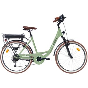 Bici Elettrica Da Città Carlitano 26 Pollici Verde