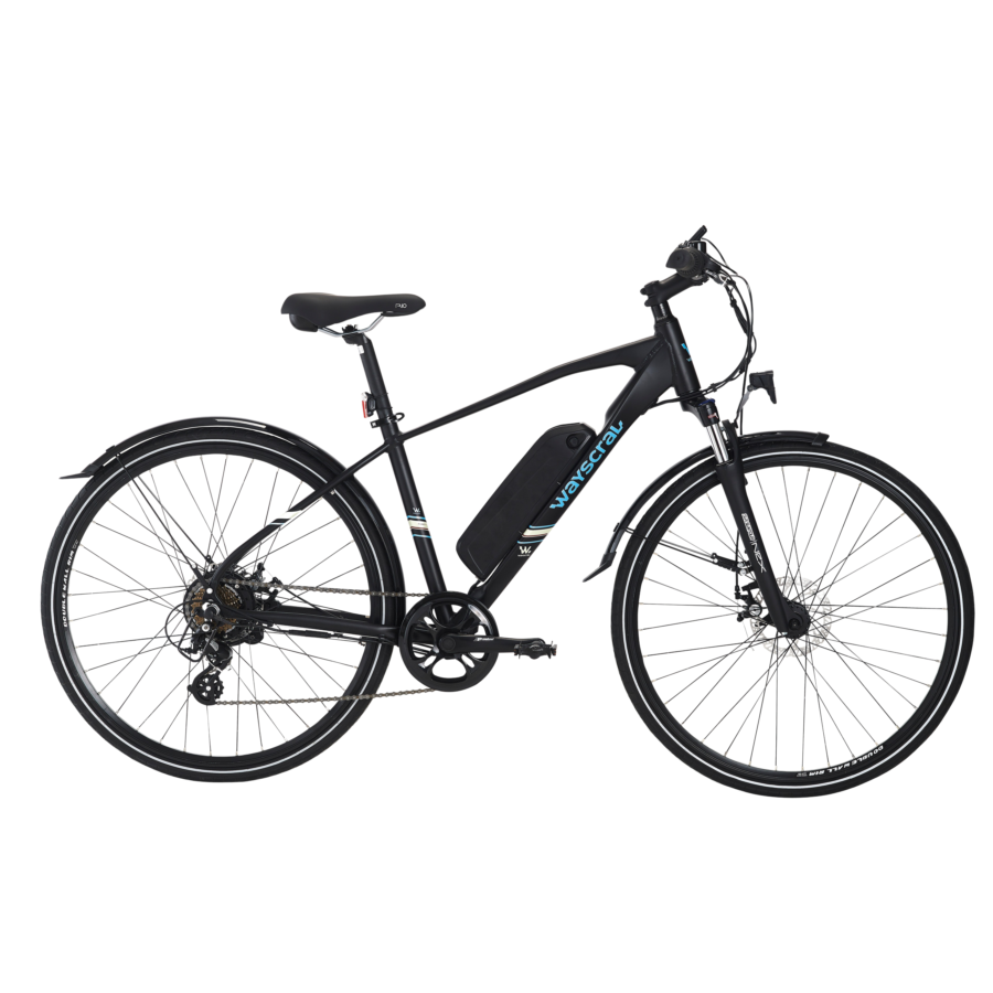 Mountain Bike Elettrica Wayscral Anyway E100