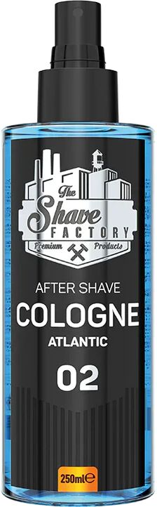 the shave factory colonia dopobarba 02 atlantic 250 ml