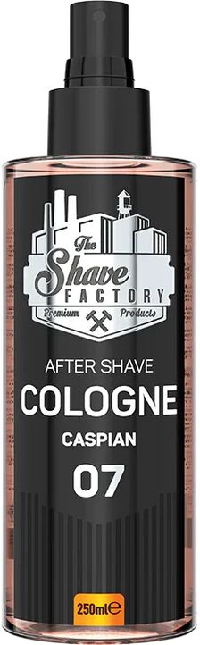 the shave factory colonia dopobarba 07 caspian 250 ml