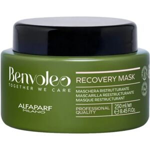 Alfaparf Milano Benvoleo Recovery Mask capelli danneggiati , 250ml