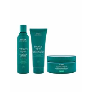 Aveda Botanical Repair Intensive Kit capelli danneggiati